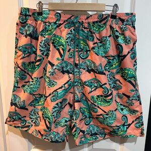 Chameleon swim shorts
